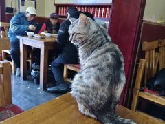 -老北京褡裢火烧·任记