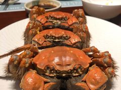 -一本魅·日式料理