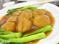-万年酒楼(越秀南路店)