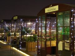 -梧桐餐厅(泉城路店)