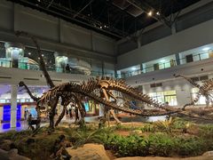 -自贡恐龙博物馆