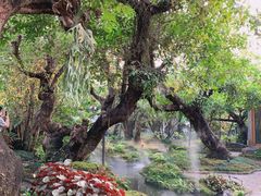 -Chom Cafe and Restaurant