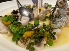 -桂满陇·海市蜃楼·黑金(国金店)