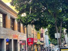 -Noodle Villa Melbourne CBD 黔庄牛羊粉