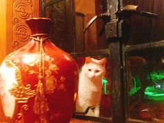 -马勒别墅·中餐厅