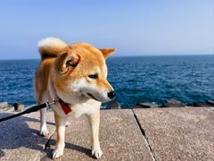 -八大峡公园