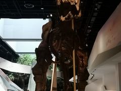 -武汉园博园(武汉自然博物馆)