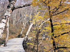 -白草畔自然风景区