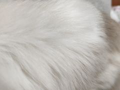 -艾贝尔宠物医院 ·内科全科(梁溪路店)