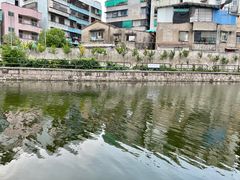 -石炮台公园