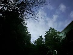 -花溪公园