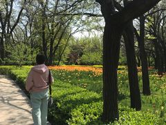 -迎泽公园