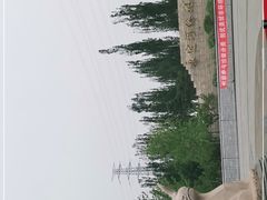 -永定河休闲森林公园