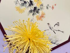 -杭州植物园