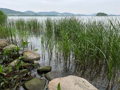 -长广溪湿地公园
