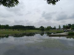 -两河城市森林公园