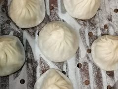 -老桐椿 · 上海大馄饨