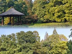 -上海共青森林公园