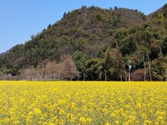 -贵阳市花溪国家城市湿地公园