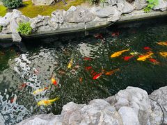 -荣府宴(南阳路店)