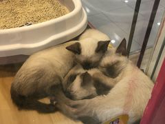 -凯德广场(金牛店)