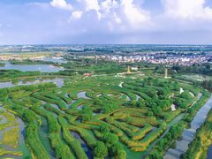 -盐城丹顶鹤湿地生态旅游区