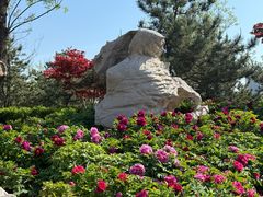 -西海子公园