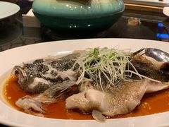 -彩丰楼·中餐厅(国家会展中心上海洲际店)