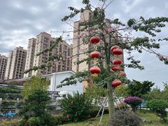 -桃园盛宴·岭南粤菜·手工茶点(南庄店)