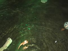 -杭州第一世界大酒店·云曼温泉