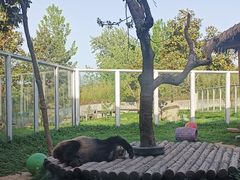 -西安秦岭野生动物园