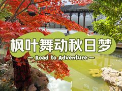 -秋霞圃