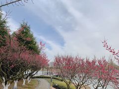 -白塘生态植物园