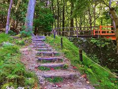 -三千院