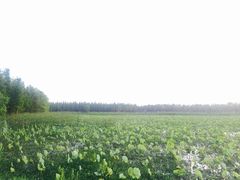 -艾溪湖湿地公园