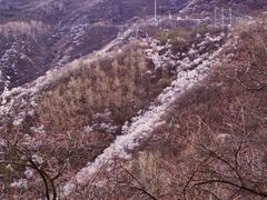 -妙峰山风景名胜区
