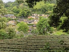 -杨家堂村