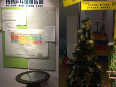 -搏鸣乒乓球俱乐部(万柳店)