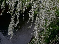 -中国茶叶博物馆(双峰馆区)