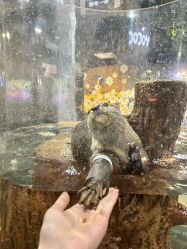 -Zoolung Zoolung动物主题公园(海信广场店)