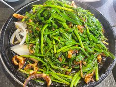 铁板韭菜炒鱿鱼-靠山屯东北农家菜(八龙桥雅苑店)