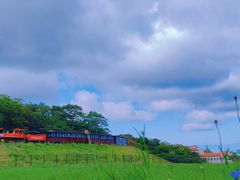 -济州森林小火车生态公园