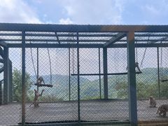 -海上云台山景区