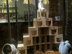 -有猫主题·治愈系猫咖(曾厝垵店)