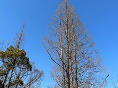 -慈城古县城景区
