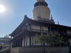 -张掖大佛寺景区