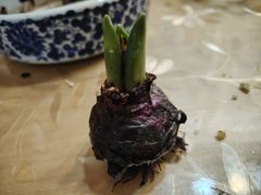 -西域美食(西直门南小街店)