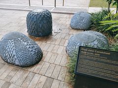 -布里斯班南岸公园