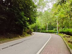 -火炉山森林公园
