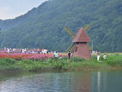 -广州市石门国家森林公园